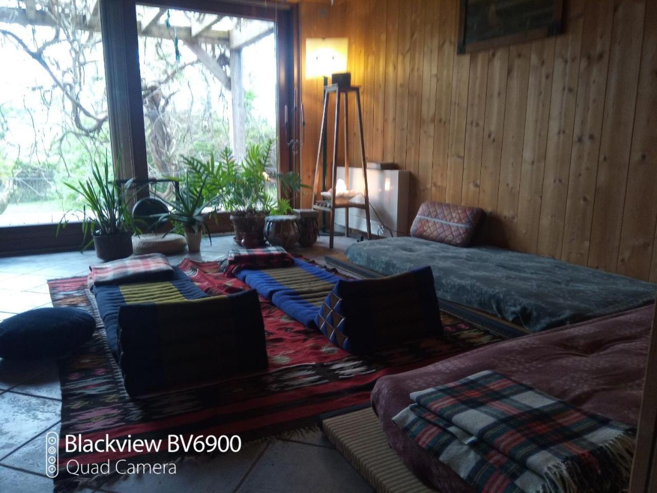 Bioagriturismo Vegan Campo Di Cielo Cesiomaggiore Dış mekan fotoğraf