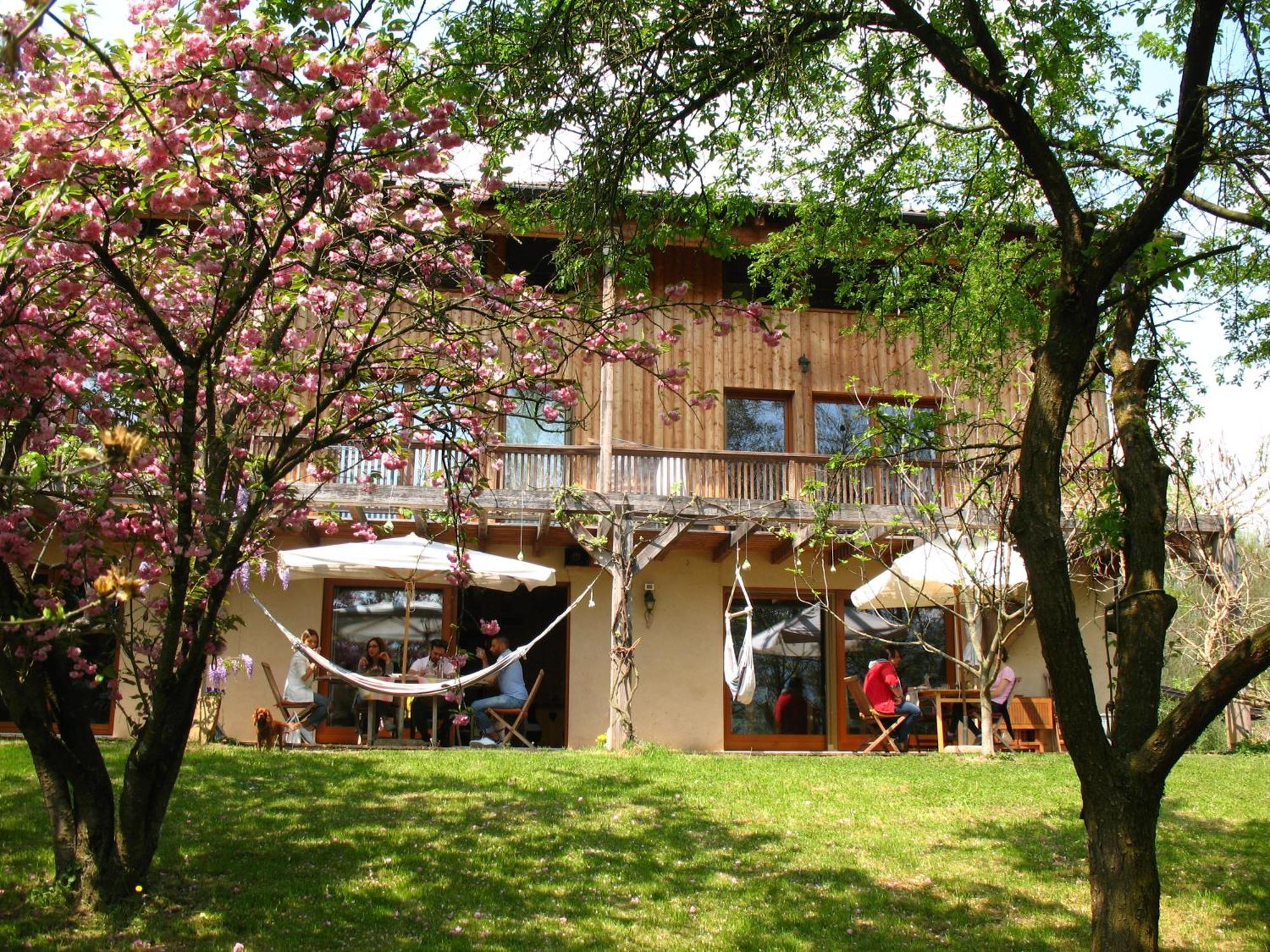 Bioagriturismo Vegan Campo Di Cielo Cesiomaggiore Dış mekan fotoğraf