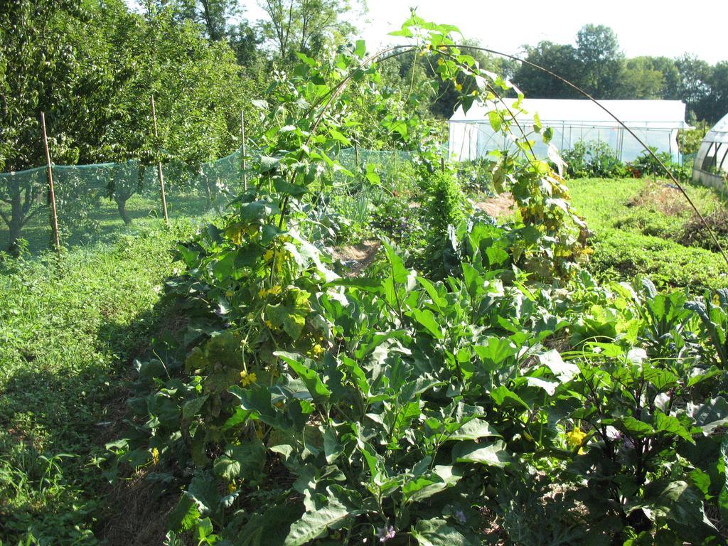 Bioagriturismo Vegan Campo Di Cielo Cesiomaggiore Dış mekan fotoğraf