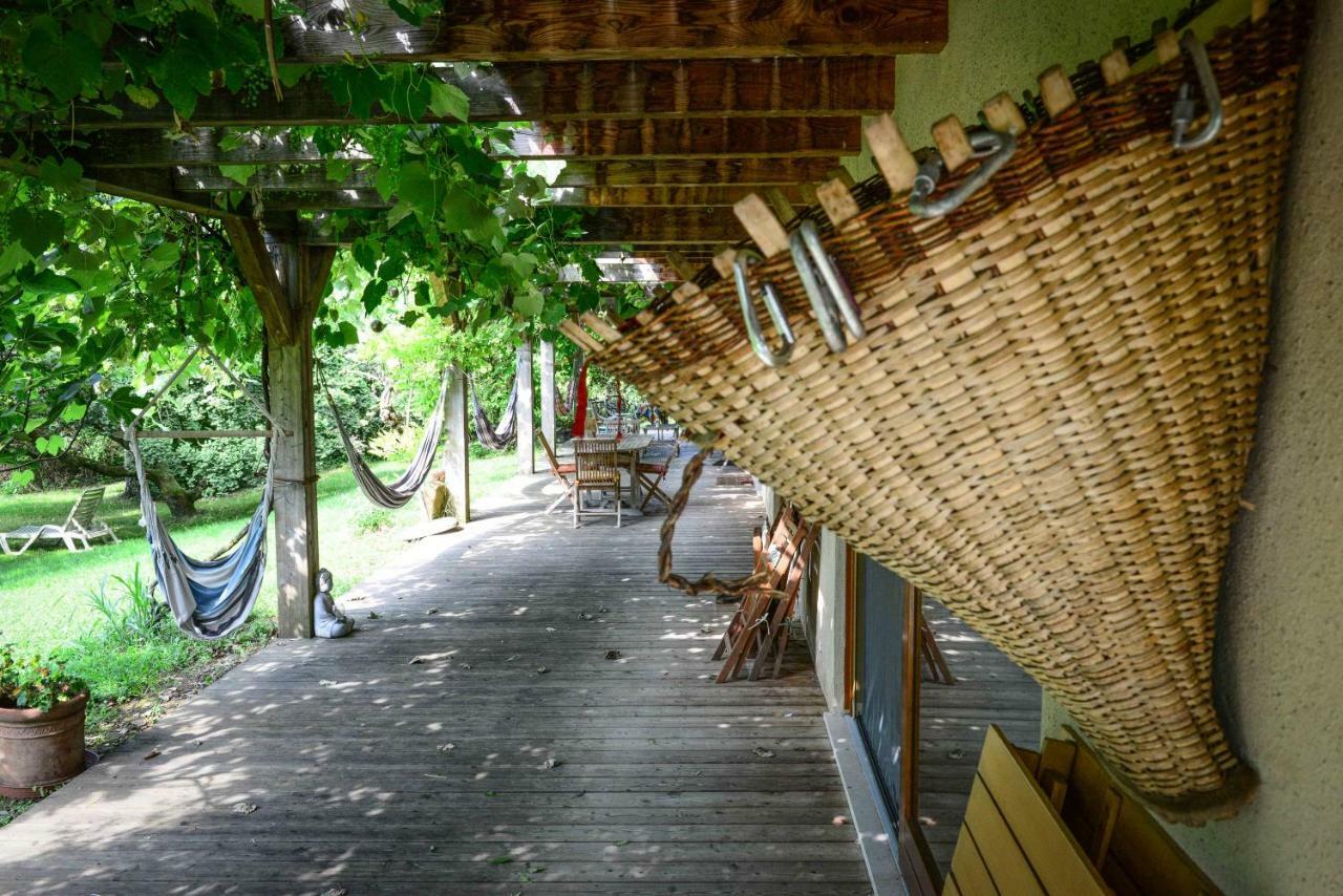 Bioagriturismo Vegan Campo Di Cielo Cesiomaggiore Dış mekan fotoğraf