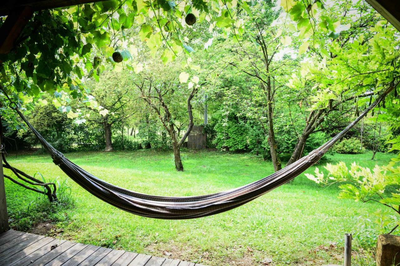 Bioagriturismo Vegan Campo Di Cielo Cesiomaggiore Dış mekan fotoğraf