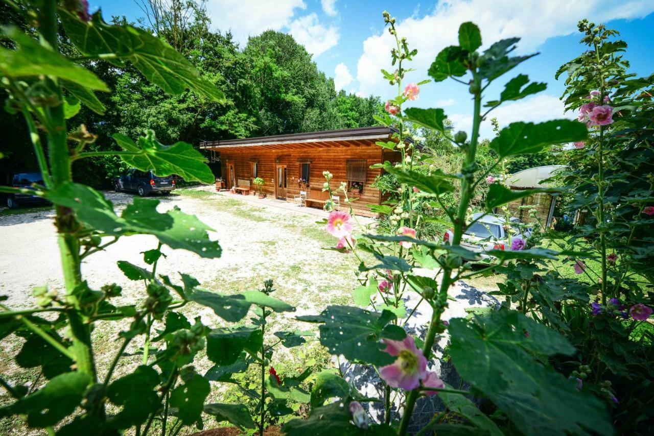 Bioagriturismo Vegan Campo Di Cielo Cesiomaggiore Dış mekan fotoğraf
