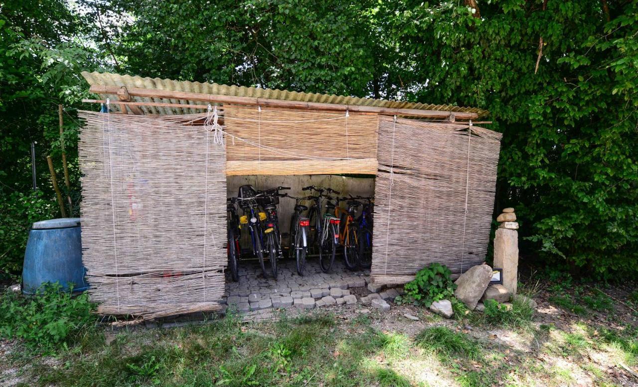 Bioagriturismo Vegan Campo Di Cielo Cesiomaggiore Dış mekan fotoğraf